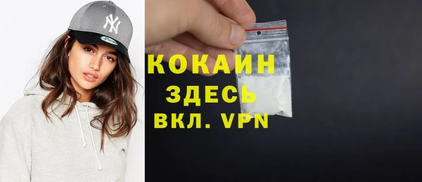 дмт Арсеньев