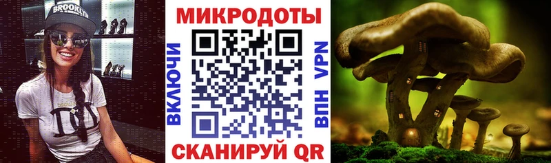Галлюциногенные грибы Psilocybine cubensis  Мамоново 